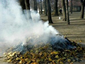 На Дніпропетровщині розпочався сезон підпалів: за спалювання трави загрожує штраф до 6 тисяч гривень