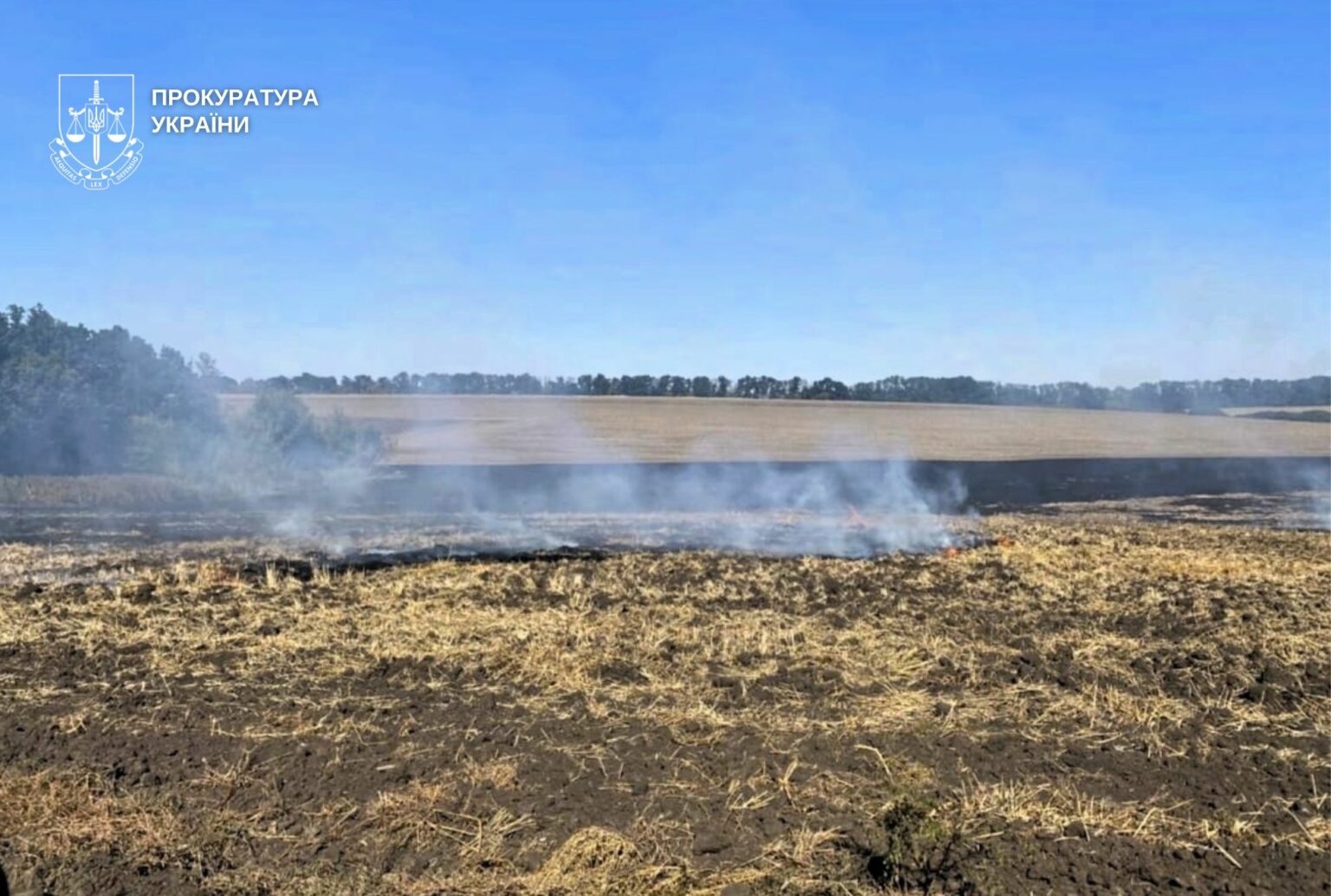 Підпалив стерню – під суд: На Дніпропетровщині судитимуть фермера