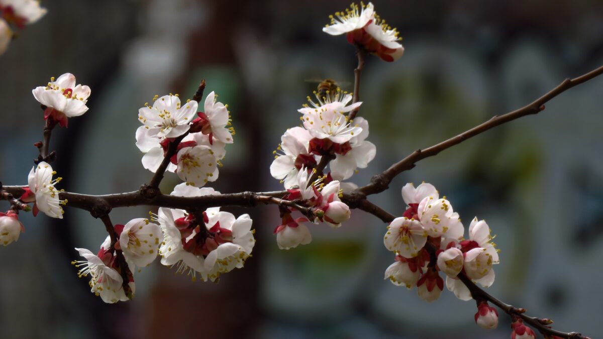 14 квітня 2026: церковне свято, прикмети та заборони дня