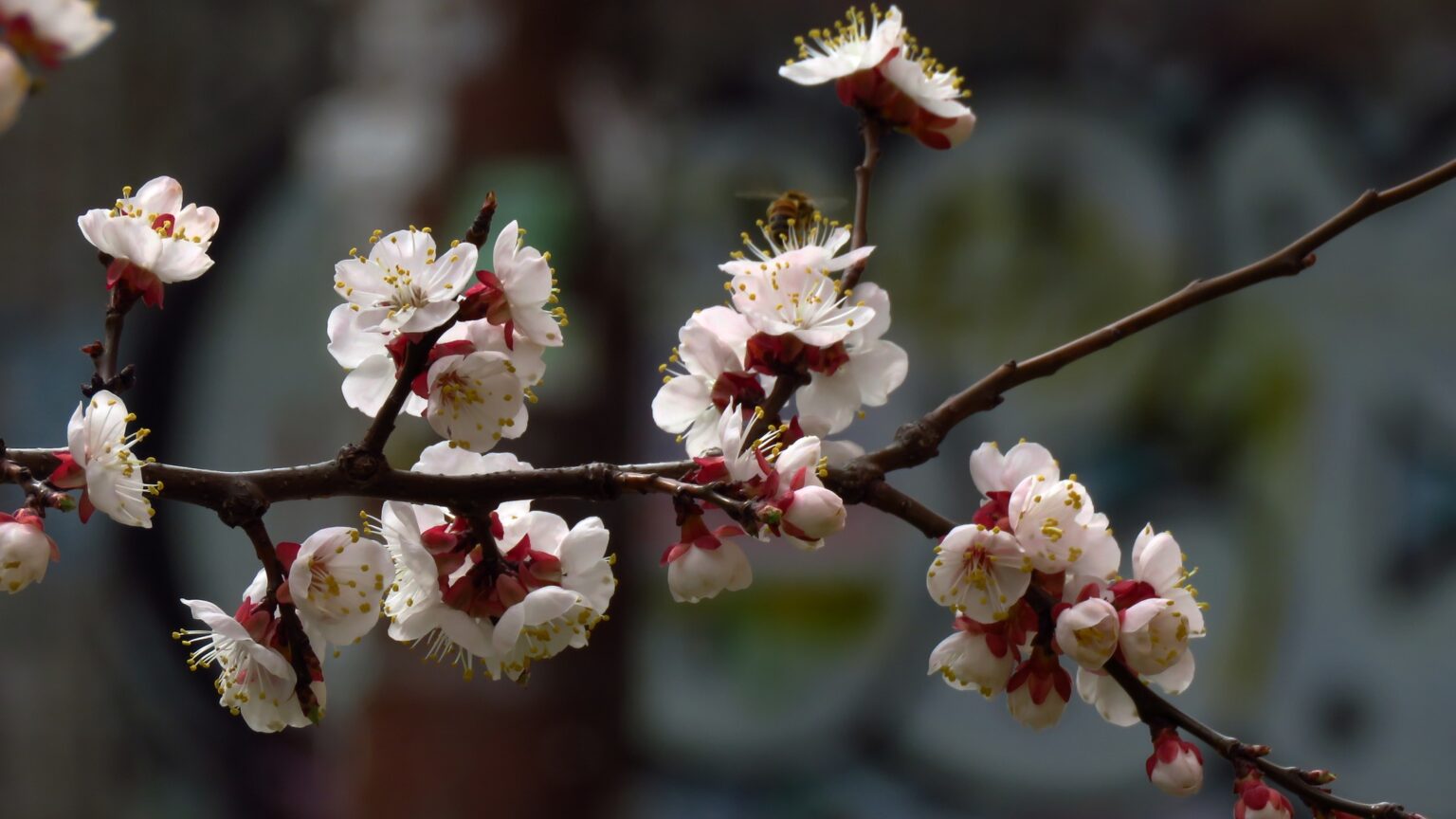 14 квітня 2026: церковне свято, прикмети та заборони дня