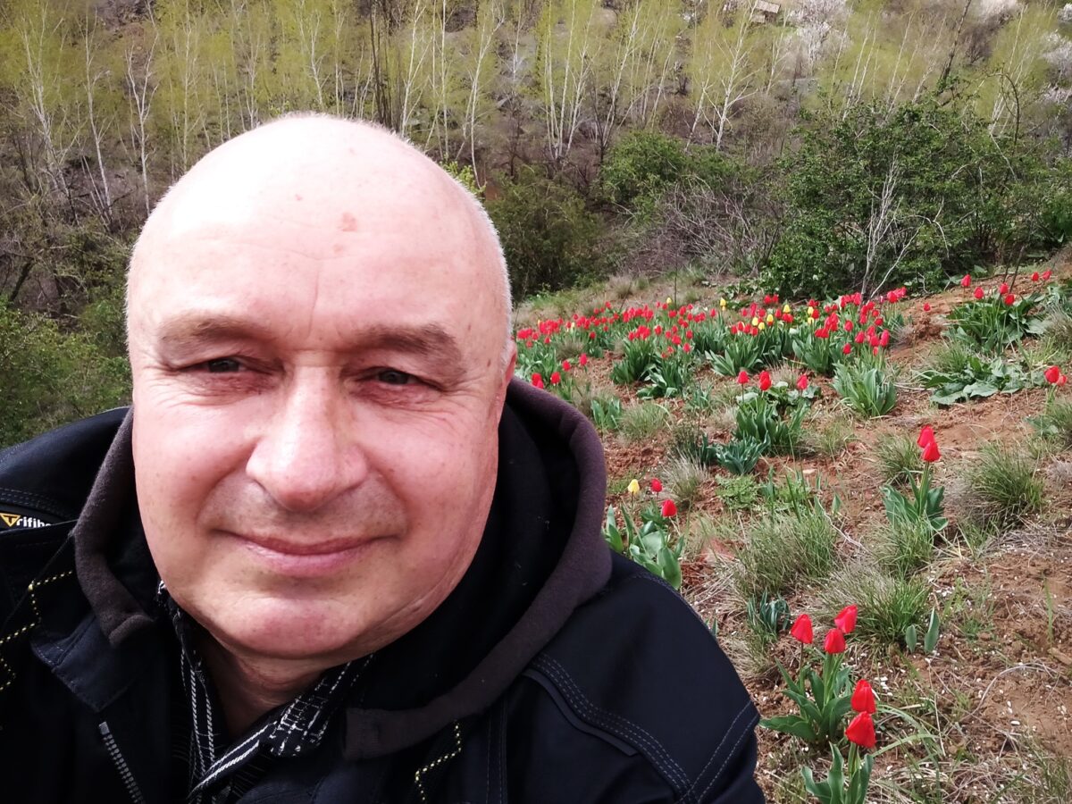 Тюльпани на Петровському відвалі: 15 тисяч квітів у Кривому Розі
