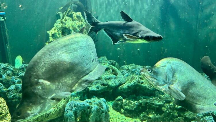 Куди піти у Дніпрі 12-13 квітня 2026: кращі місця 