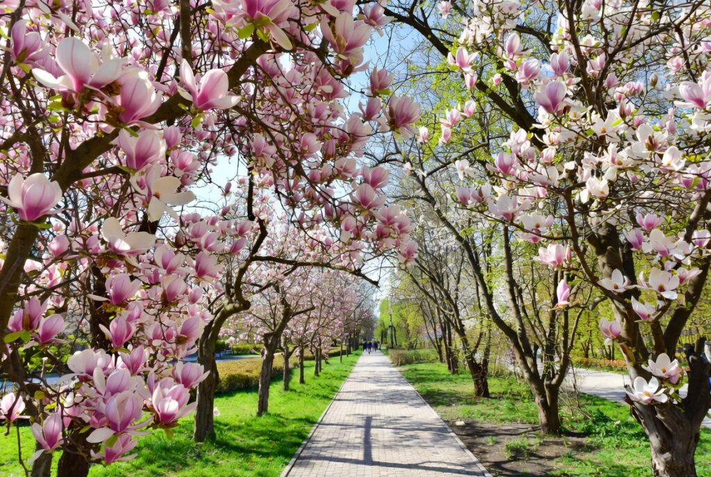 Куди піти у Дніпрі 12-13 квітня 2026: кращі місця