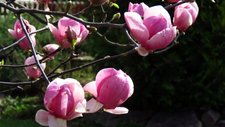 Куди піти у Дніпрі 12-13 квітня 2026: кращі місця 