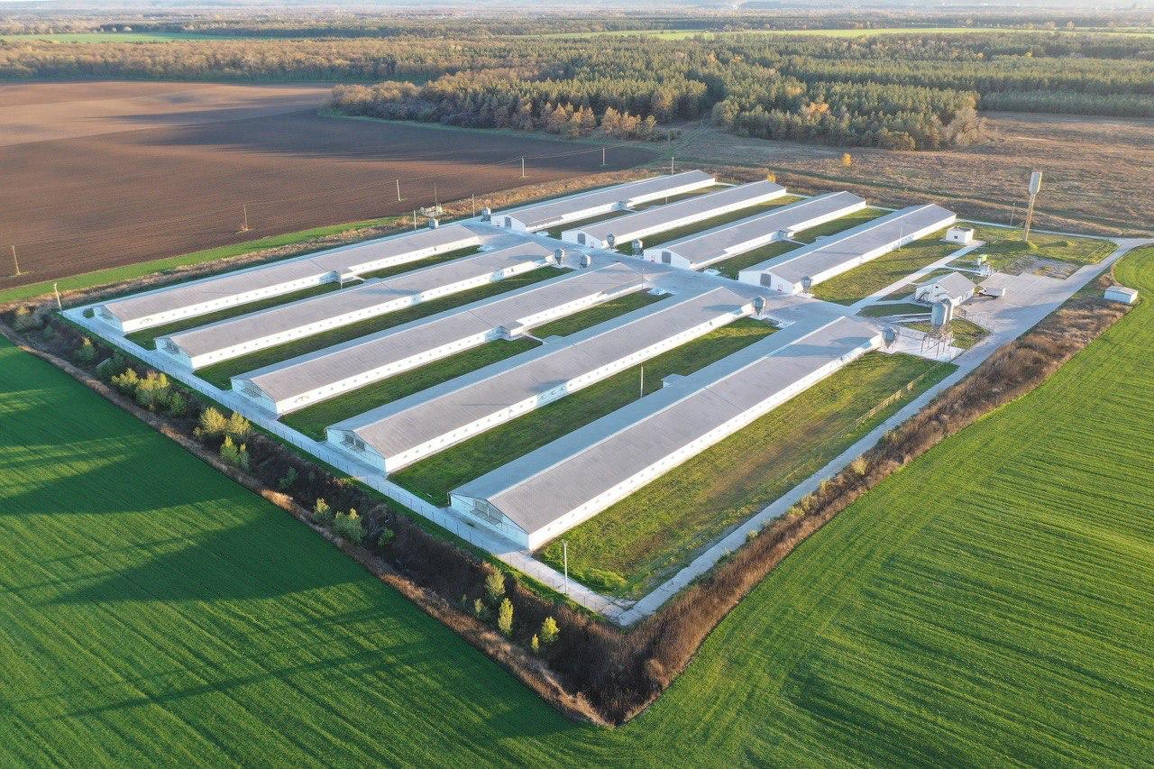 Птахофабрика «Оріль-Лідер» сплатила понад 361 млн грн податків у 2025 році