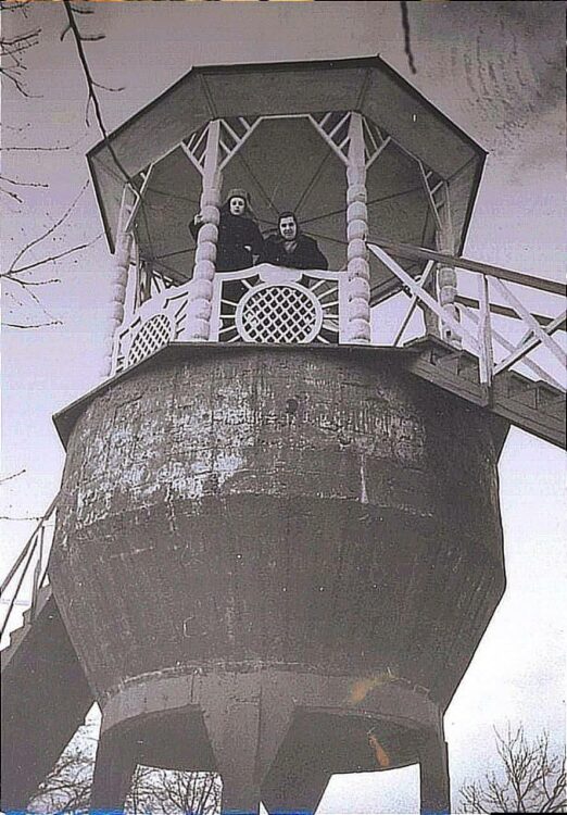 Колесо огляду в парку Шевченка: історія від 1934 року 