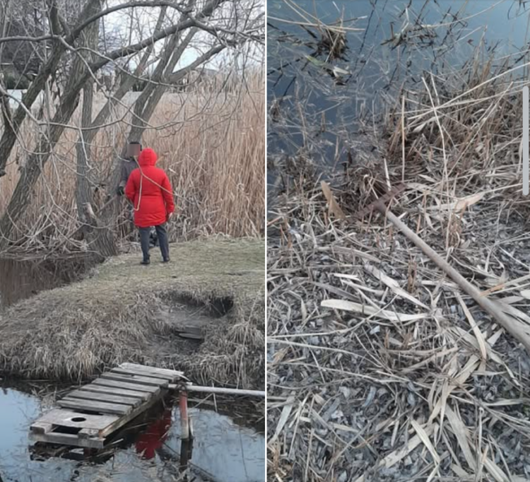 На Дніпропетровщині виловлюють щуку вилами під час нересту (ФОТО) Колють щуку вилами під час нересту: на Дніпропетровщині зафільмували факт браконьєрства (ФОТО)