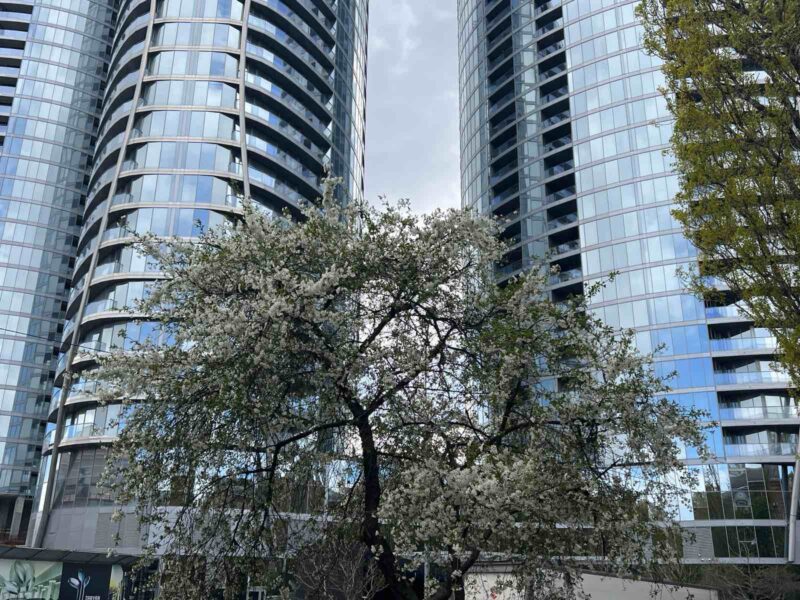 ВПО з окупованих територій можуть забронювати кошти на житло — як це зробити