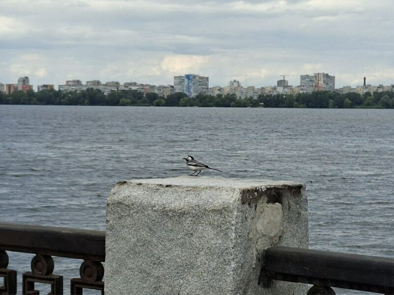 Якою буде погода у Дніпрі та області 27 червня: прогноз