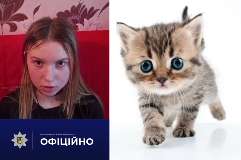 «Більше цього не повториться»: дівчина з Павлограда, яка знущалася з кошеняти, записала відео з вибаченнями 
