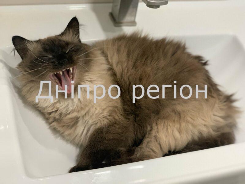 Без води на Дніпропетровщині: де і коли відключать з 1 липня