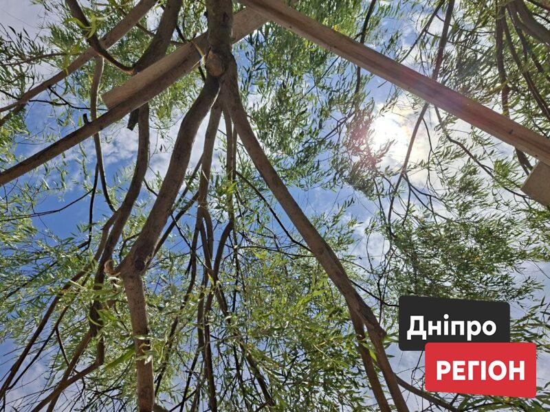 Циклон не йде, але дасть перепочинок: прогноз погоди у Дніпрі та області на 12 липня