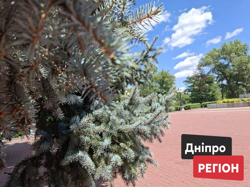 Жара окончательно отступает: прогноз погоды в Днепре и области на 17 июля