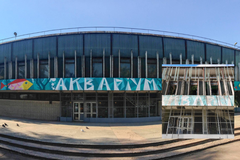 У Дніпрі через ракетний удар пошкоджено «Акваріум» ДНУ: загинув крокодил