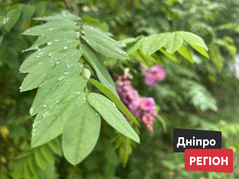 Злива вже вирує: яку погоду чекати у Дніпрі та області до кінця дня 10 липня